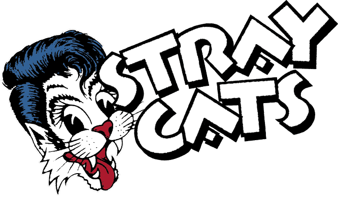 stray cats cat